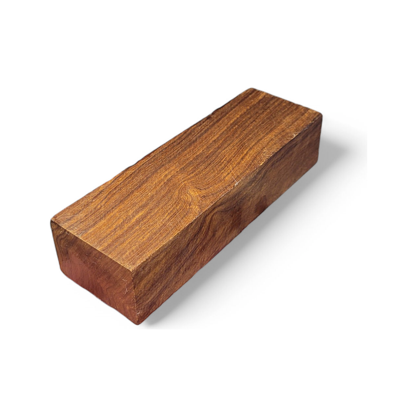 Desert Ironwood