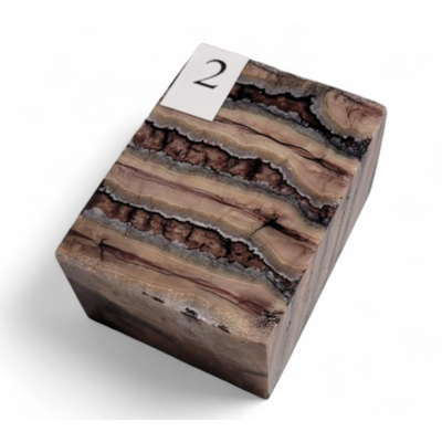 Mammuttand. 40×30×20mm