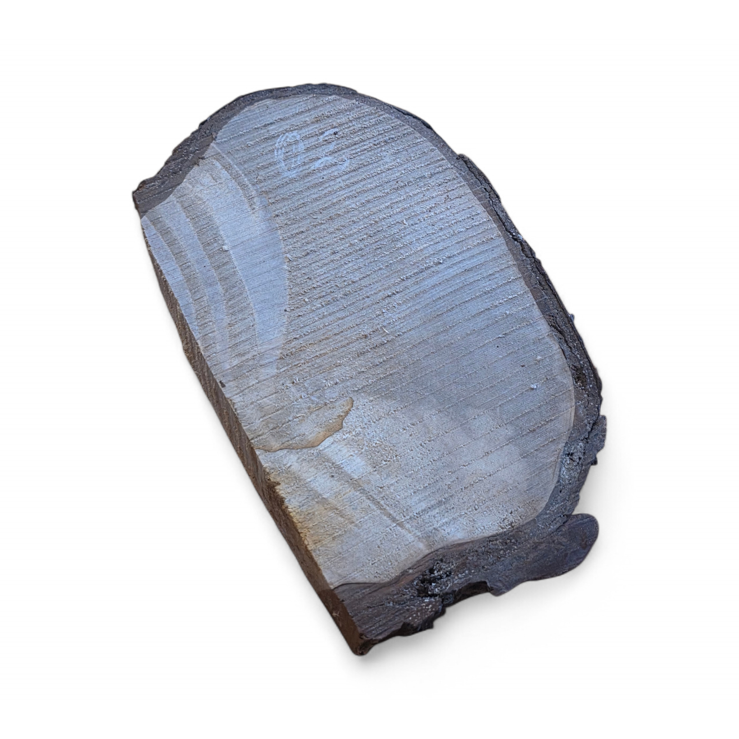 Björkvril-skiva. #02