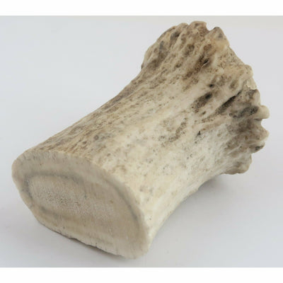 Älghorn Rosenkrans 4-8cm