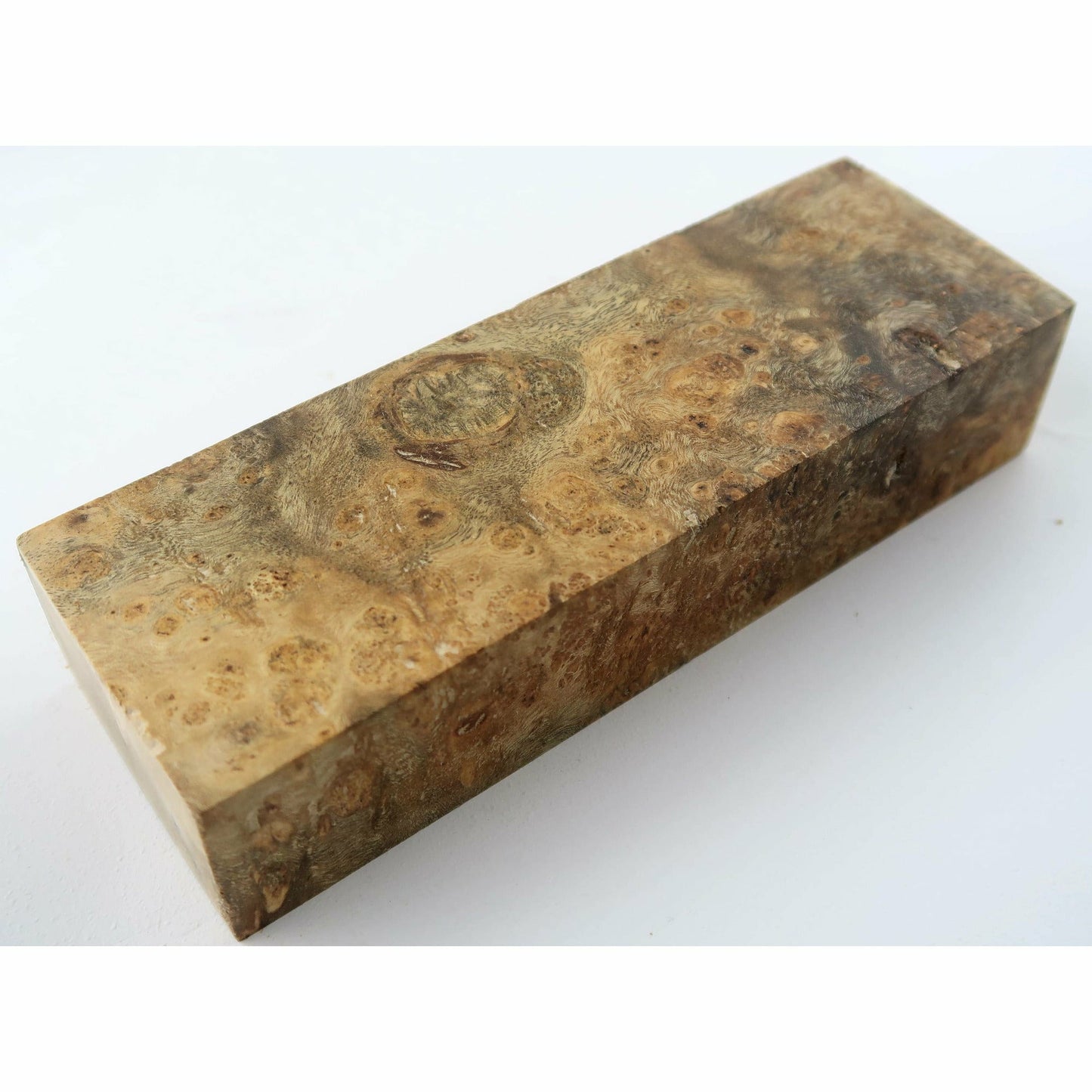 Starfruit Burl 150x50x30mm