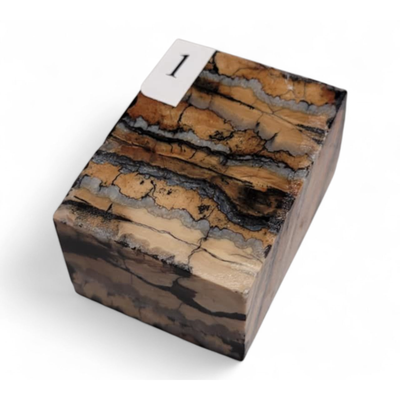 Mammuttand. 40×30×20mm