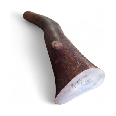 Renhorn XL 290mm #002