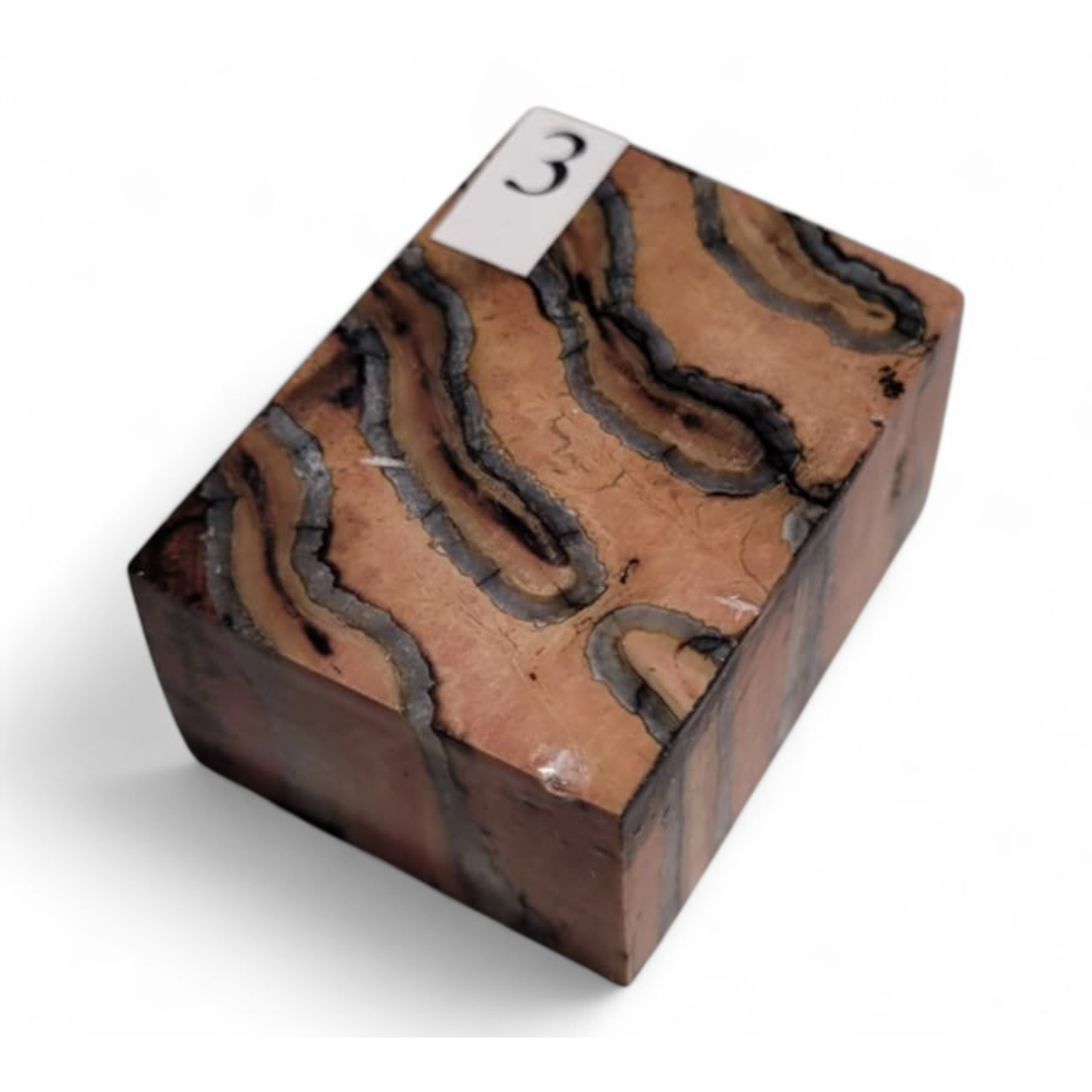 Mammuttand. 40×30×20mm