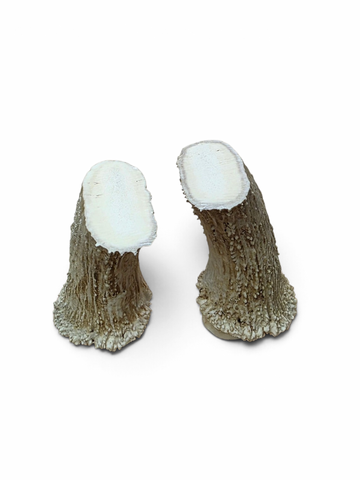 Älghorn par, Stor.