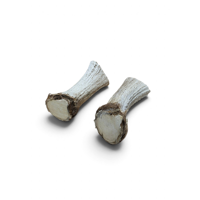Älghorn par, XXL