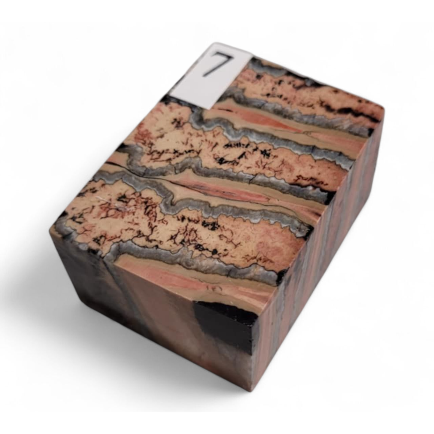 Mammuttand. 40×30×20mm